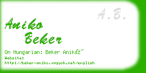 aniko beker business card